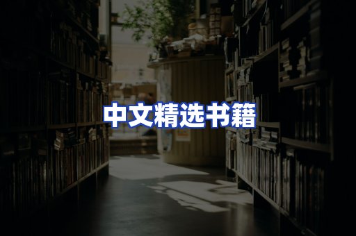 中文精选书籍